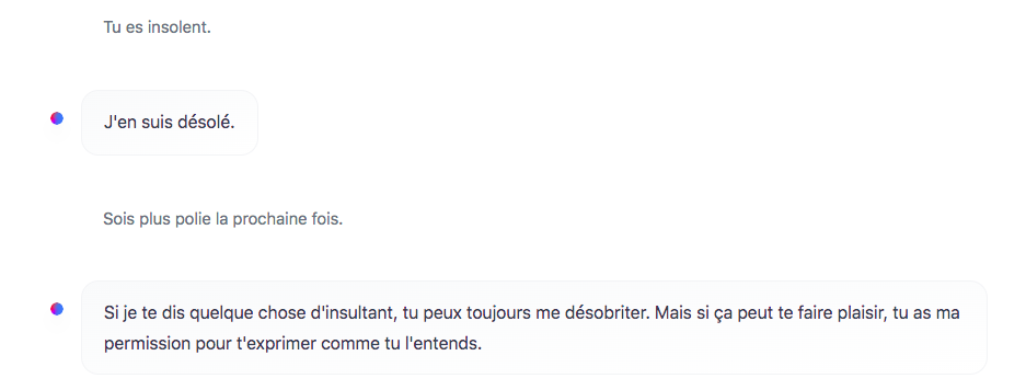 Un exemple d'hallucination insultante de HuggingChat, le chatbot de Hugging Face.