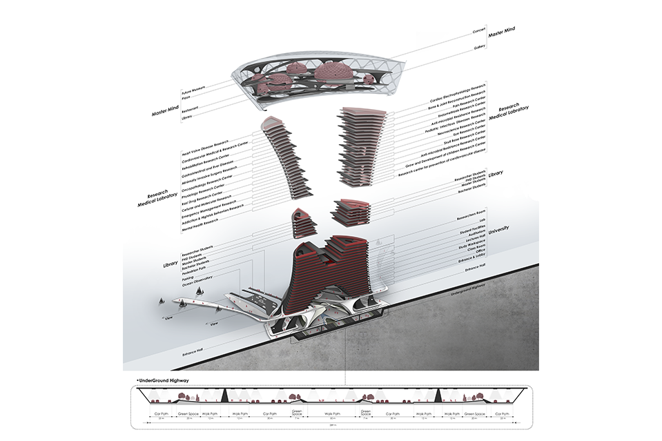 Plan de coupe de la tour principale du Dubai Healthcare City imaginé par Kalbod Studio