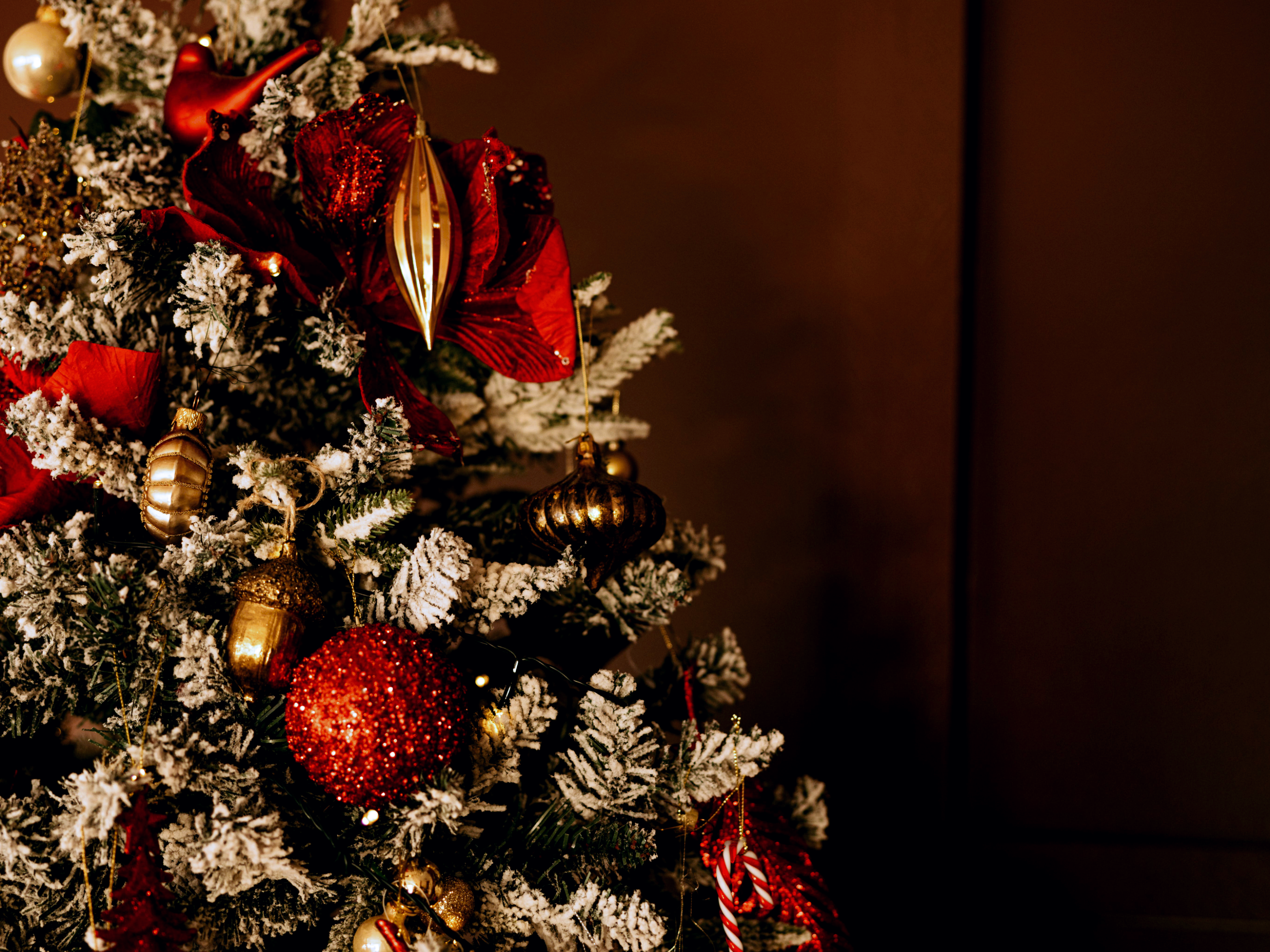 Posséder un sapin de Noël naturel est illégal dans certaines régions des États-Unis