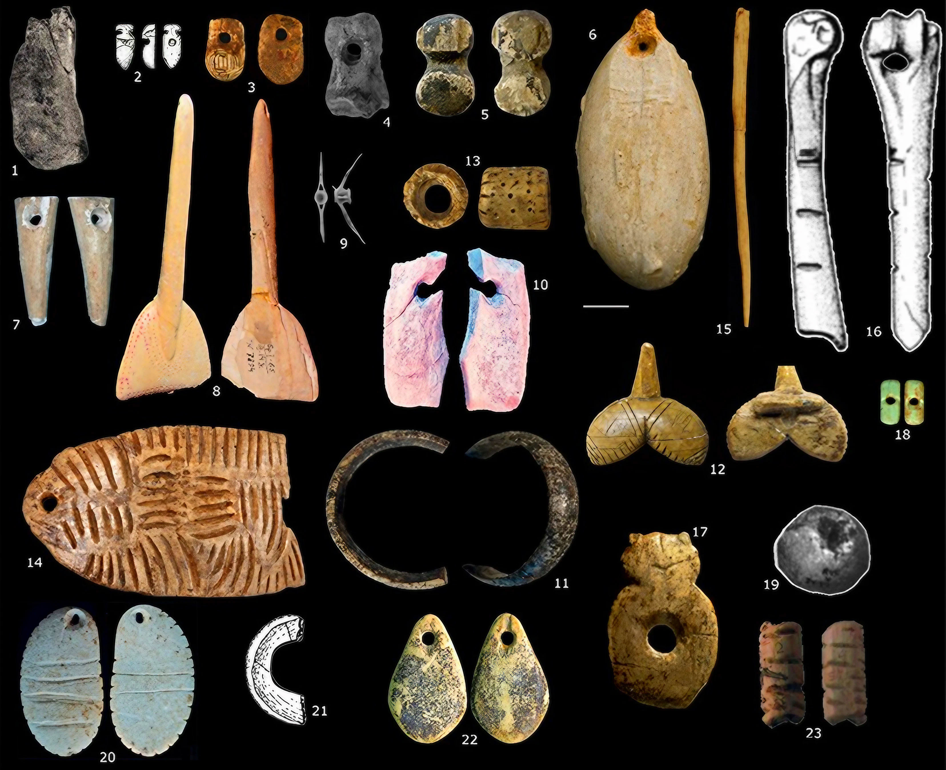 Ces bijoux humains ont 30 millénaires