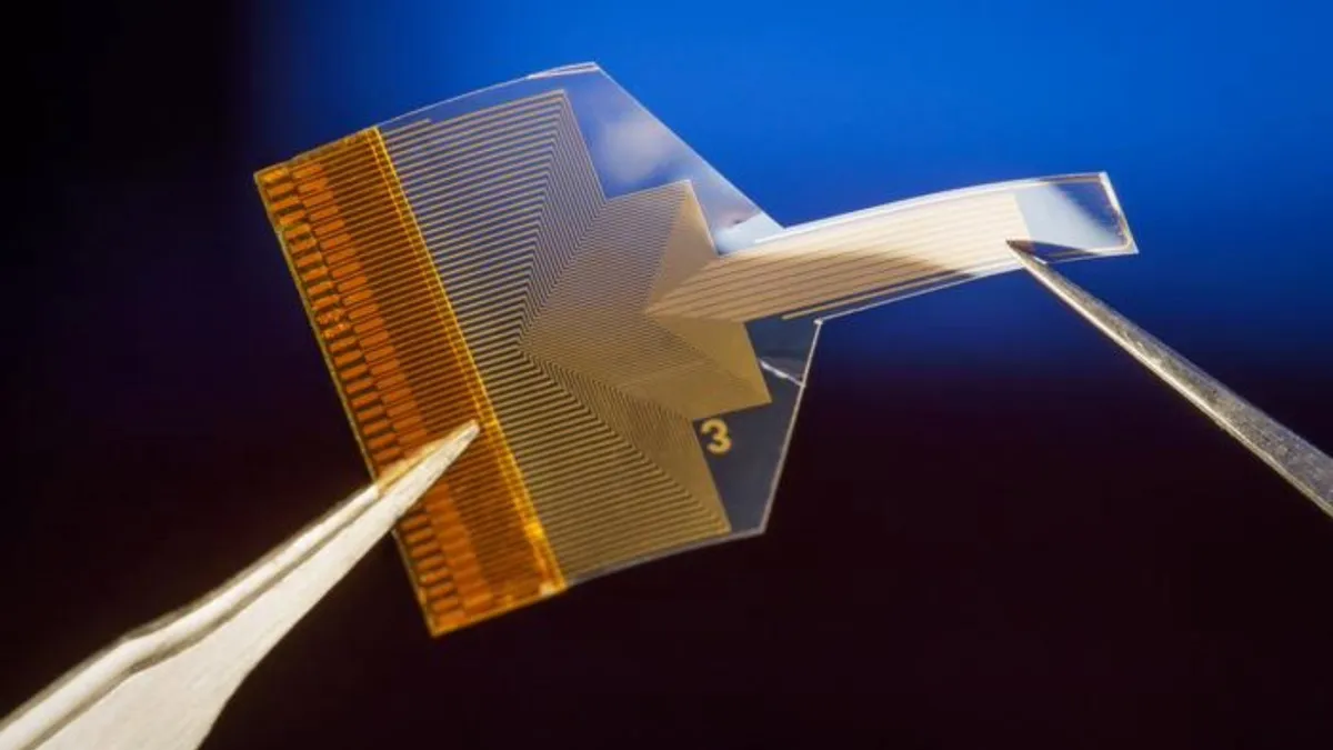 Pour décoder les pensées, un nouveau dispositif transparent en graphène