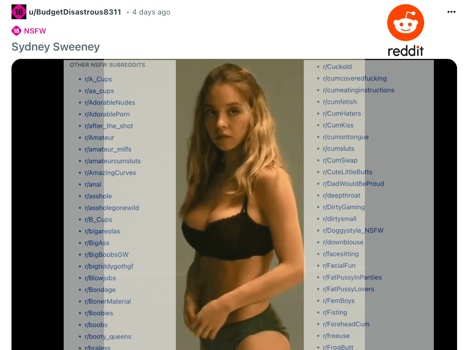 Reddit est aussi un énorme site porno