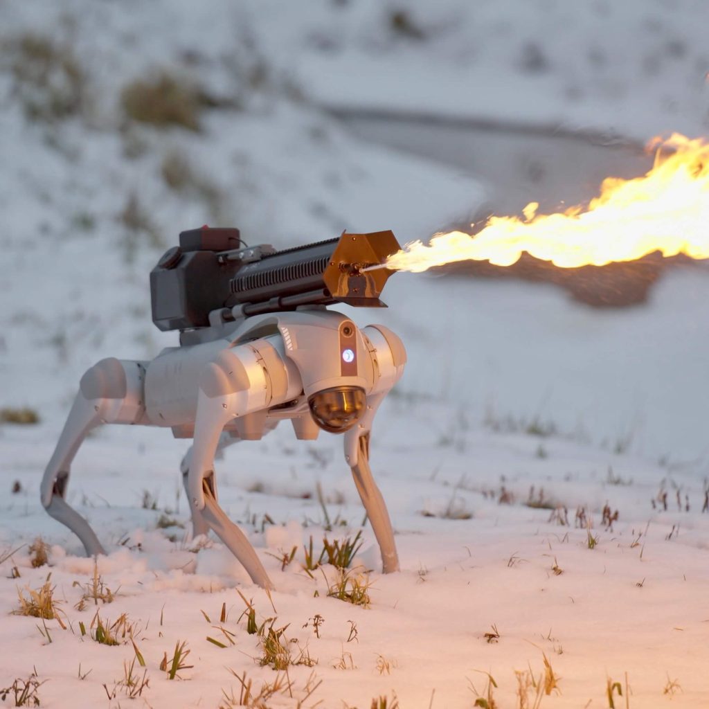 Le chien-robot Thermonator.